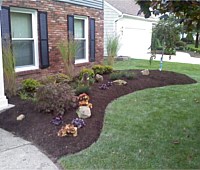 Landscaping